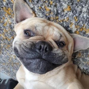 Meet your Posher, Dawnette